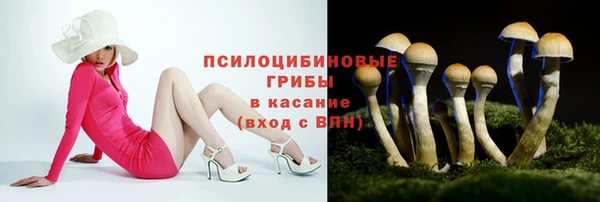 дживик Козельск