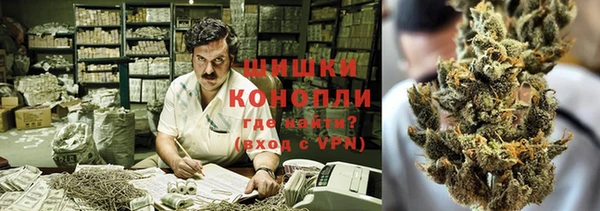 дживик Козельск