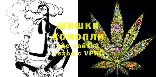СК Кодинск