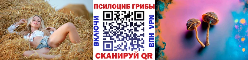 Галлюциногенные грибы мухоморы  Медвежьегорск 